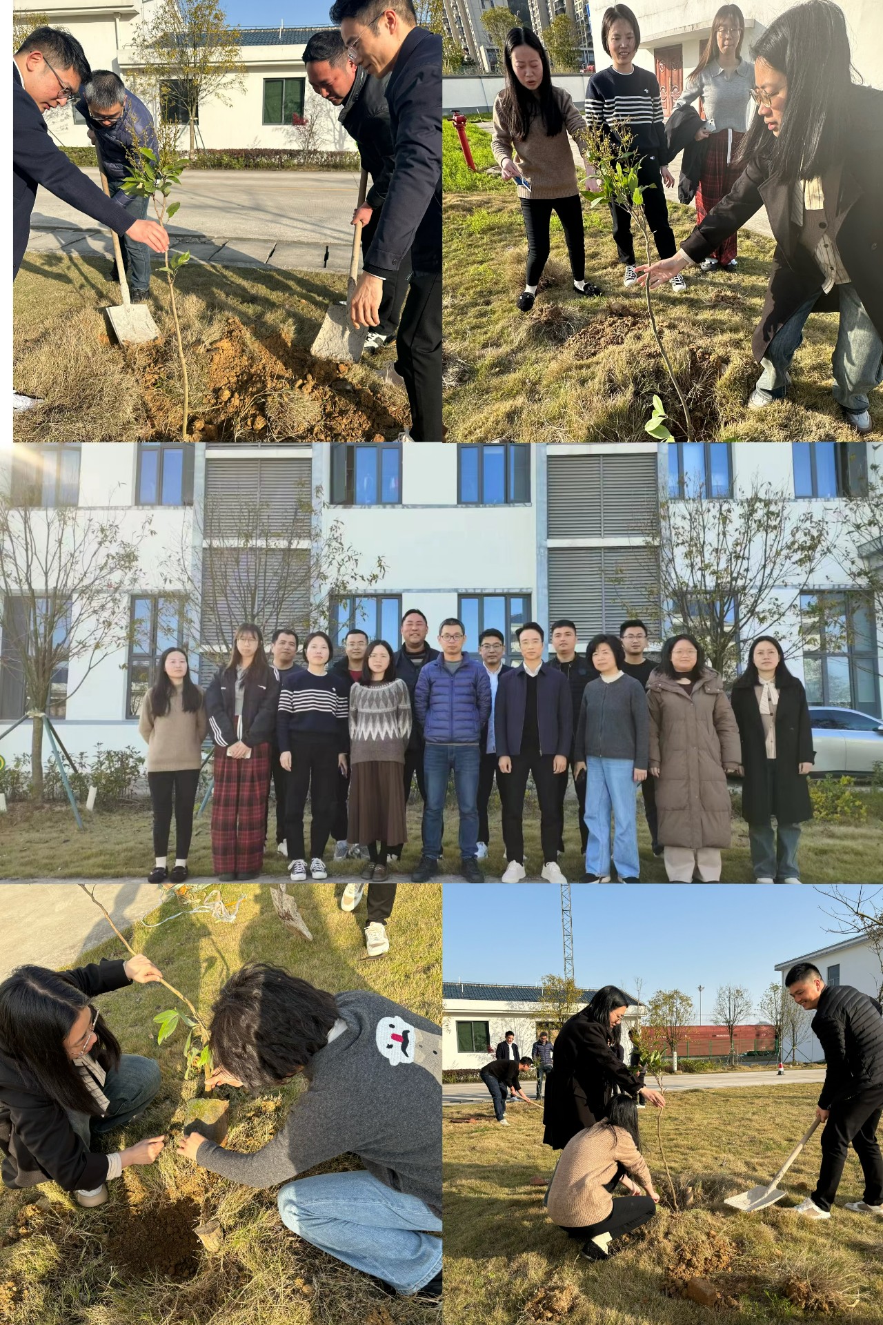 2024-3-12綠色陸港，美麗寧德，阮克妙拍攝.jpg